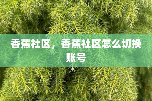 香蕉社区，香蕉社区怎么切换账号