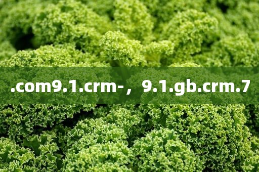 .com9.1.crm-，9.1.gb.crm.7