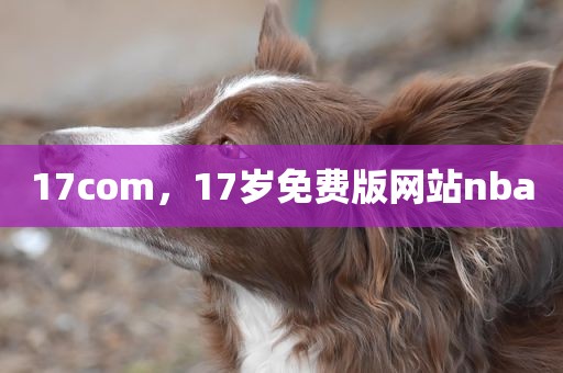 17com，17岁免费版网站nba