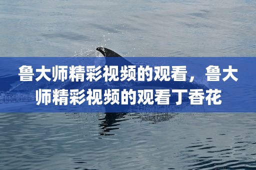 鲁大师精彩视频的观看，鲁大师精彩视频的观看丁香花