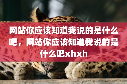 网站你应该知道我说的是什么吧，网站你应该知道我说的是什么吧xhxh