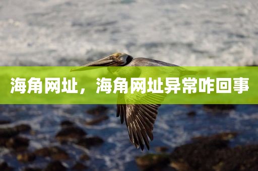 海角网址，海角网址异常咋回事