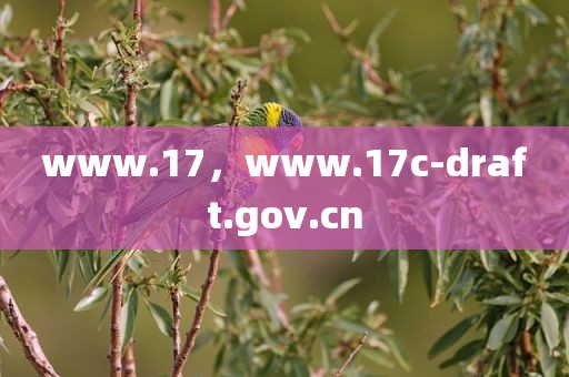 www.17，www.17c-draft.gov.cn