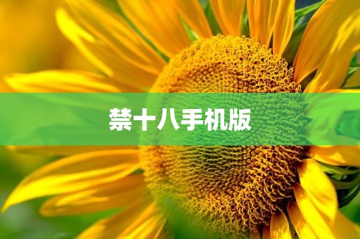 禁十八手机版