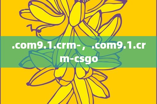 .com9.1.crm-，.com9.1.crm-csgo