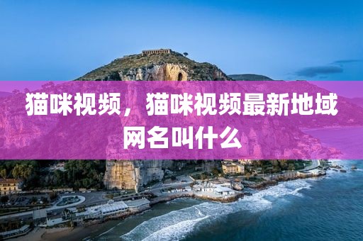 猫咪视频，猫咪视频最新地域网名叫什么