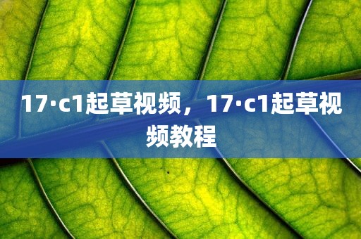 17·c1起草视频，17·c1起草视频教程