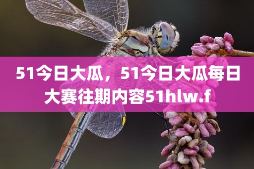 51今日大瓜，51今日大瓜每日大赛往期内容51hlw.f