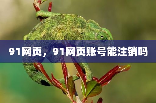 91网页，91网页账号能注销吗
