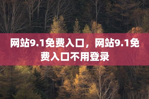 网站9.1免费入口，网站9.1免费入口不用登录