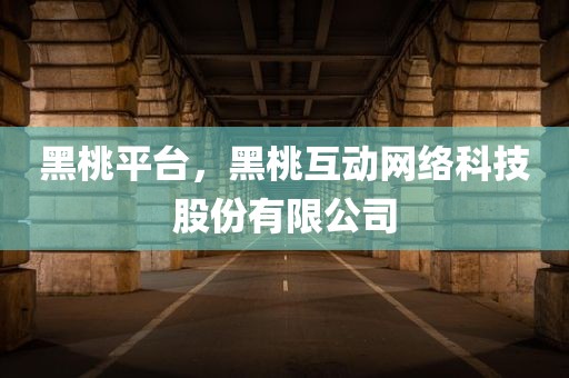 黑桃平台，黑桃互动网络科技股份有限公司