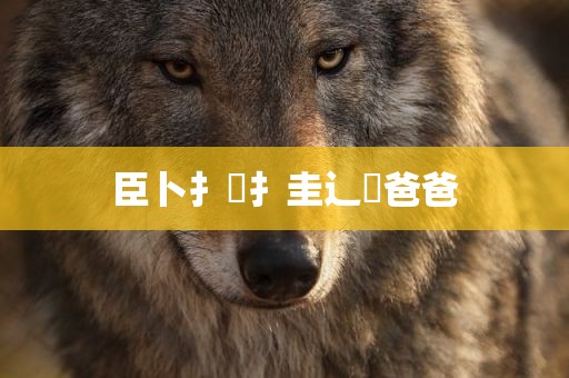 臣卜扌喿扌圭辶畐爸爸