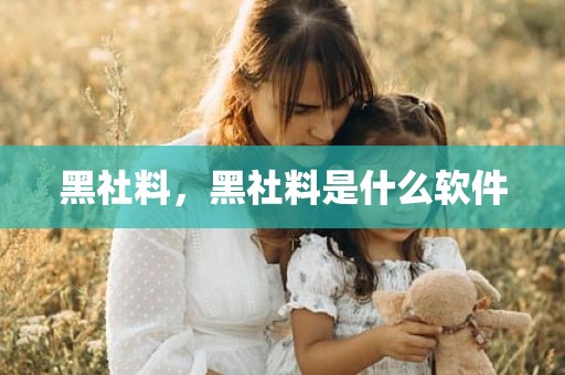 黑社料，黑社料是什么软件