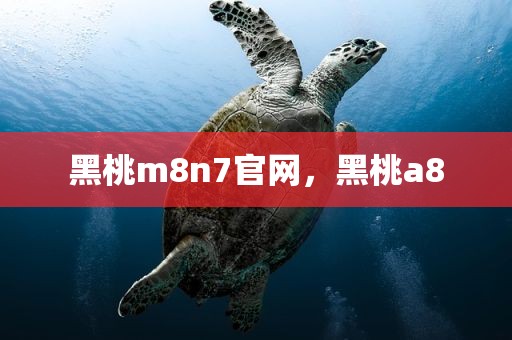 黑桃m8n7官网，黑桃a8