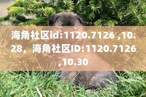 海角社区id:1120.7126 ,10.28，海角社区ID:1120.7126,10.30