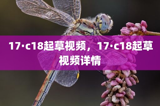 17·c18起草视频，17·c18起草视频详情