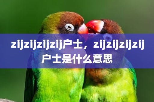 zijzijzijzij户士，zijzijzijzij户士是什么意思