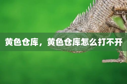 黄色仓库，黄色仓库怎么打不开