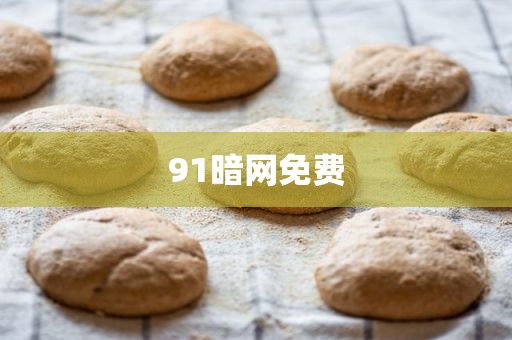 91暗网免费