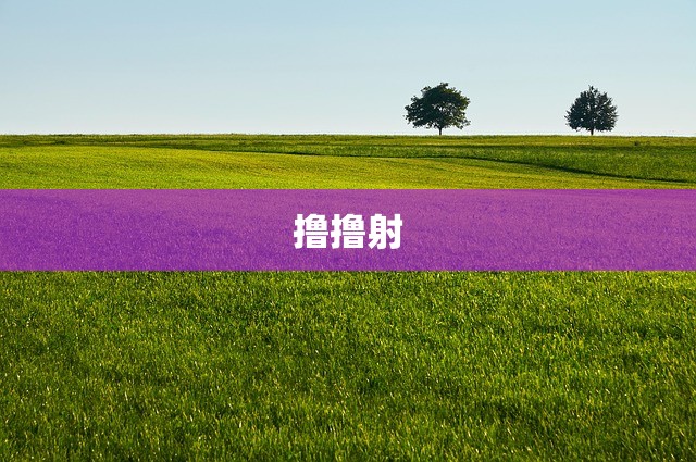 撸撸射