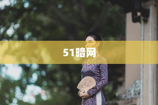 51暗网