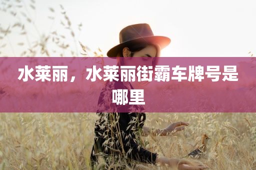 水莱丽，水莱丽街霸车牌号是哪里