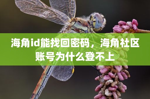海角id能找回密码，海角社区账号为什么登不上