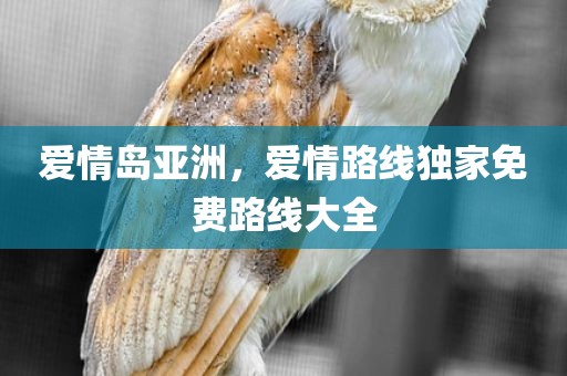 爱情岛亚洲，爱情路线独家免费路线大全