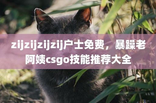 zijzijzijzij户士免费，暴躁老阿姨csgo技能推荐大全