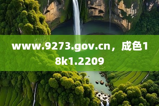 www.9273.gov.cn，成色18k1.2209