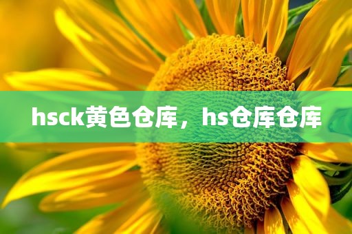 hsck黄色仓库，hs仓库仓库