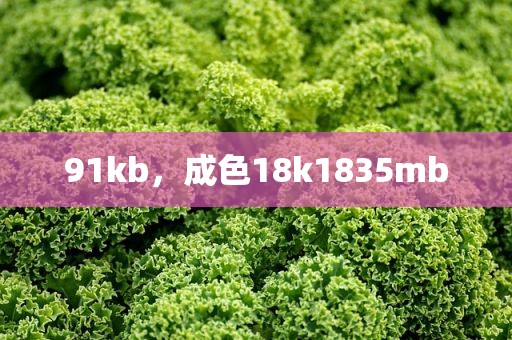 91kb，成色18k1835mb