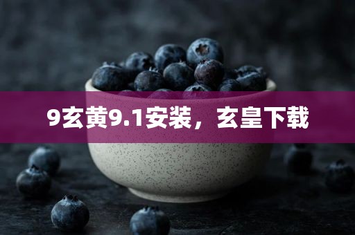 9玄黄9.1安装，玄皇下载