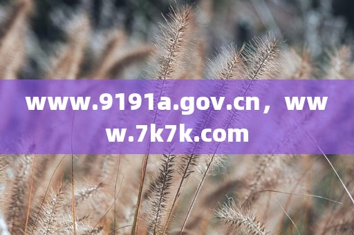 www.9191a.gov.cn，www.7k7k.com