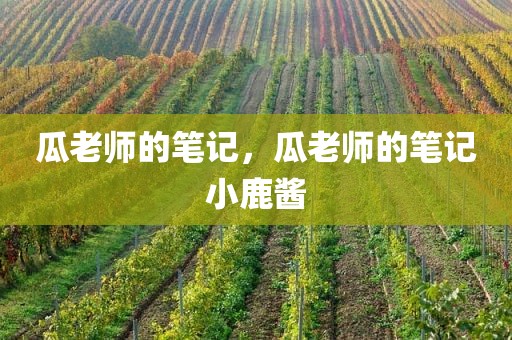 瓜老师的笔记，瓜老师的笔记小鹿酱