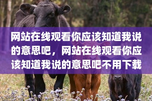 网站在线观看你应该知道我说的意思吧，网站在线观看你应该知道我说的意思吧不用下载