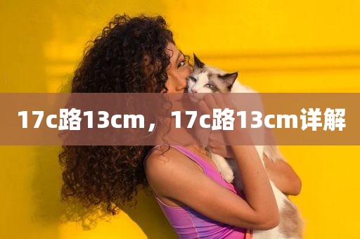 17c路13cm，17c路13cm详解