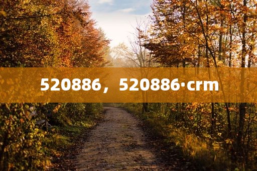 520886，520886·crm