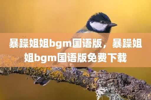 暴躁姐姐bgm国语版，暴躁姐姐bgm国语版免费下载