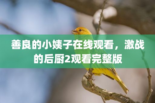 善良的小姨子在线观看，激战的后厨2观看完整版