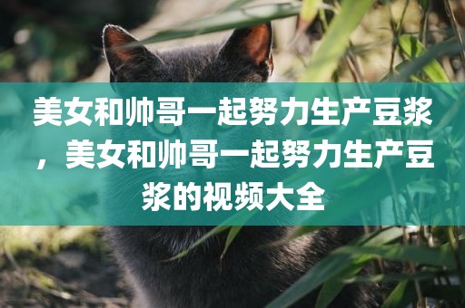 美女和帅哥一起努力生产豆浆，美女和帅哥一起努力生产豆浆的视频大全