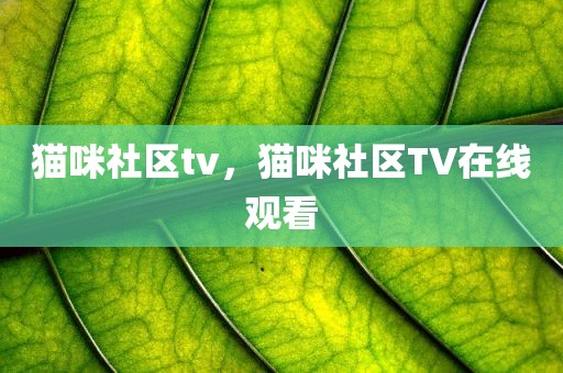 猫咪社区tv，猫咪社区TV在线观看