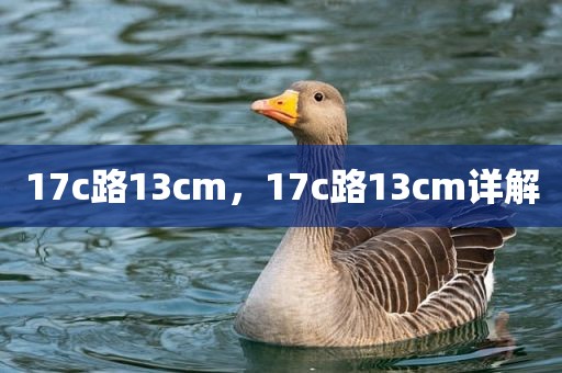 17c路13cm，17c路13cm详解