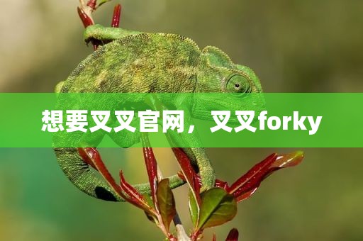 想要叉叉官网，叉叉forky