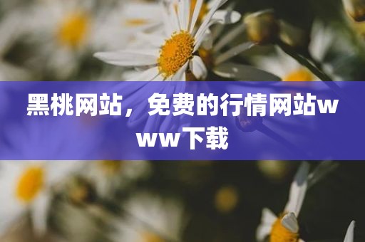 黑桃网站，免费的行情网站www下载