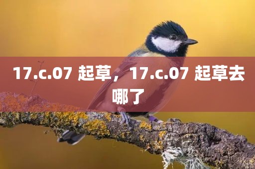 17.c.07 起草，17.c.07 起草去哪了