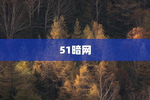 51暗网