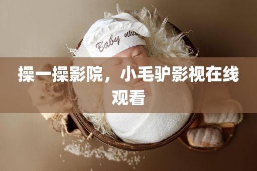 操一操影院，小毛驴影视在线观看