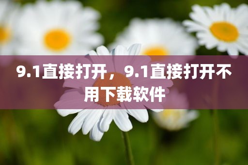 9.1直接打开，9.1直接打开不用下载软件