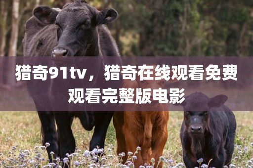 猎奇91tv，猎奇在线观看免费观看完整版电影